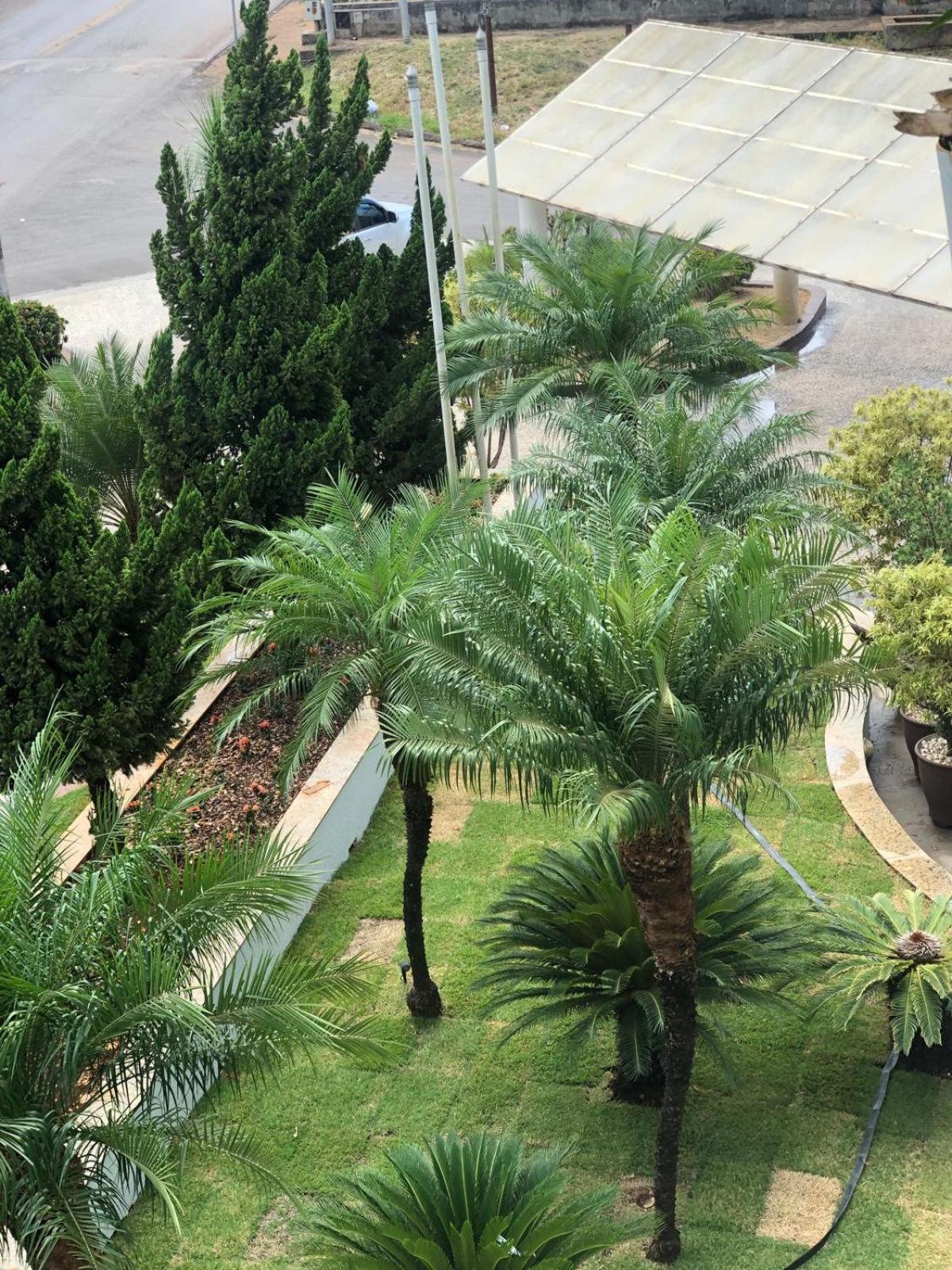 Paracatu Plaza Hotel المظهر الخارجي الصورة